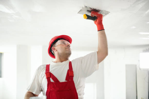 Professional Drywall and Painting Service in Deland Southwest, FL